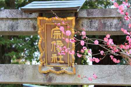 北野天満宮春2013⑫