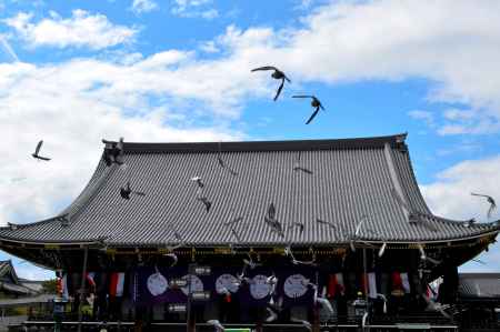 東本願寺春2016①