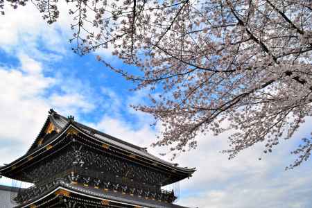 東本願寺春2016②