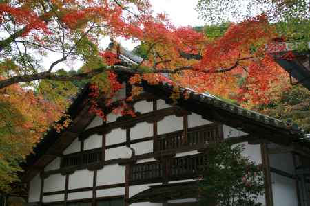 西明寺　真っ赤に色づく紅葉