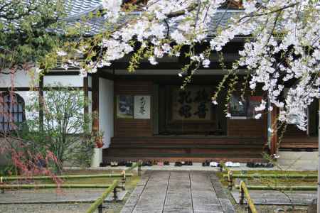 春の上品蓮台寺