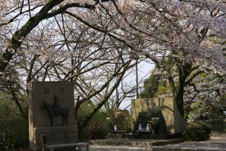 護国神社の慰霊碑と桜