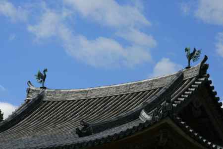 大空に舞う鳳凰