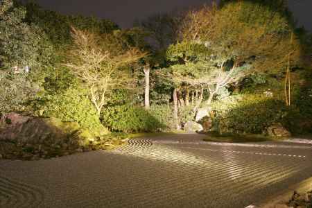 ライトアップされた圓徳院の庭園