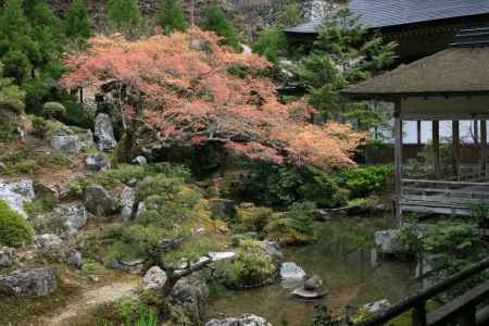 常照皇寺　秋の庭園