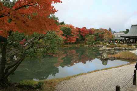 天龍寺　曹源池庭園