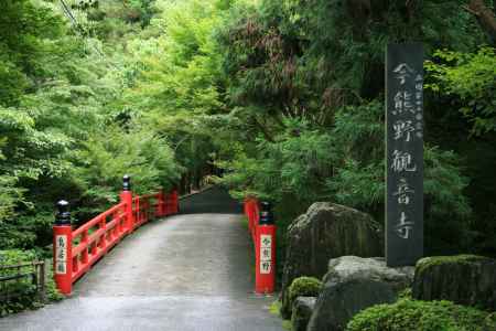 緑に囲まれた橋