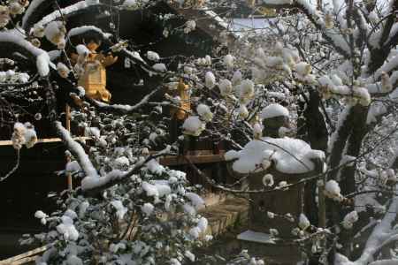 雪と北野天満宮