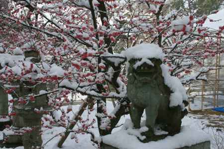 雪かぶりの狛犬