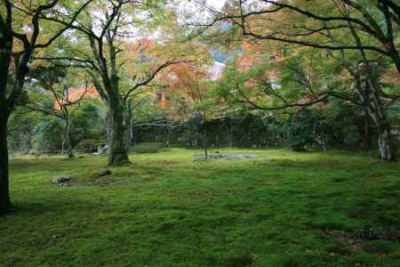 豊かな緑と控えめな紅葉