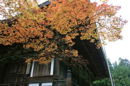 秋の神護寺