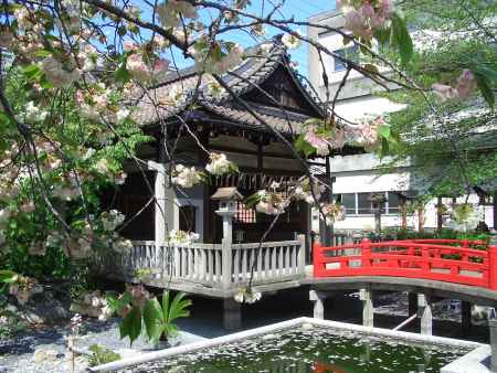 春の六孫王神社