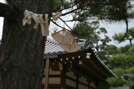 智恩寺とおみくじ