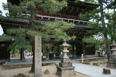 智恩寺　門と松