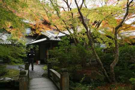 瑠璃光院　鮮やかな紅葉