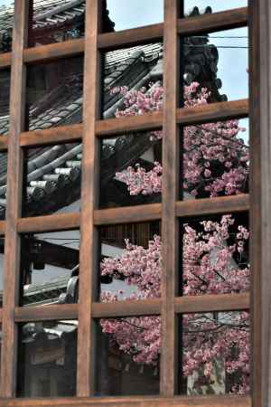 お堂の中も花盛り