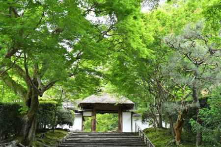 青紅葉の山門