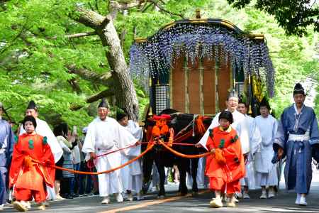 新緑の中を行く葵祭行列1