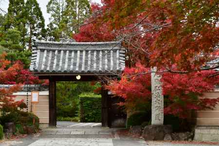 紅葉の神光院の山門