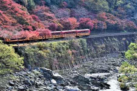 紅葉のトロッコ電車