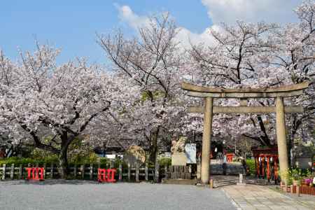 桜の六孫王神社