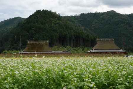 茅葺きの里