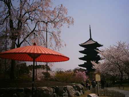 東寺　春の五重塔