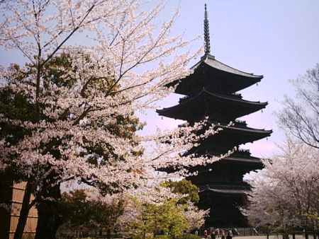 春の東寺