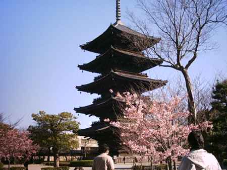 春の東寺　五重塔