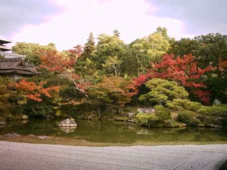 仁和寺　秋の北庭