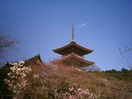 青空と五重塔