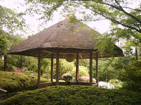 退蔵院　庭