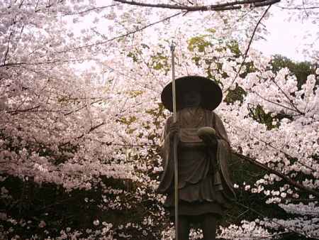 勧修寺　桜とたくはつの像