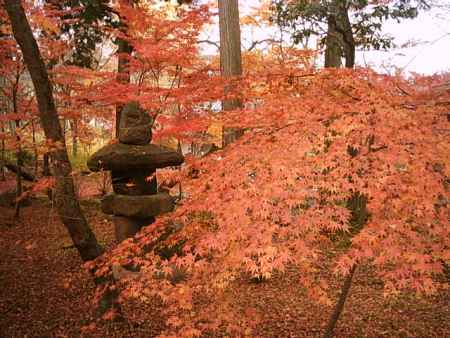 永観堂　秋の庭園