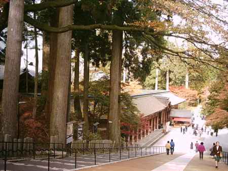 秋の延暦寺参道