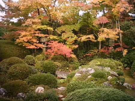 源光庵の紅葉