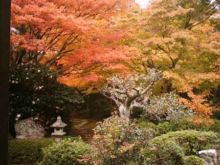 紅葉の源光庵