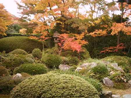 紅葉の源光庵の庭