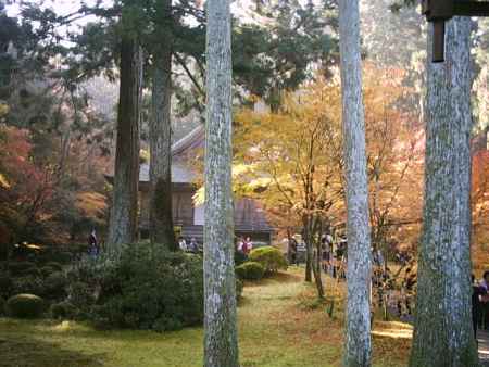 秋の三千院有清園