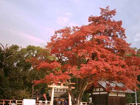 秋の上賀茂神社