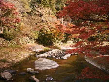 八瀬川の紅葉