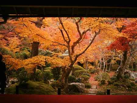 圓光寺の紅葉