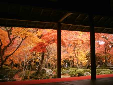 秋の圓光寺