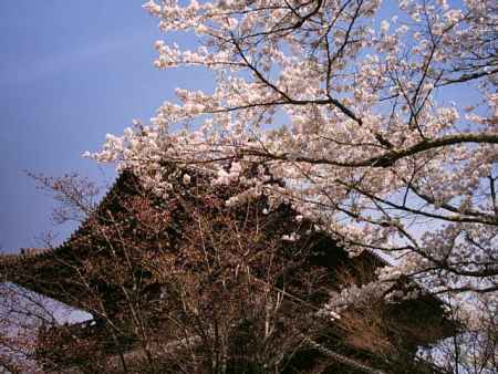 春の南禅寺三門