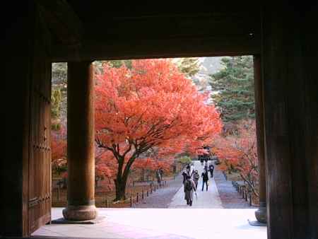 南禅寺参道の紅葉