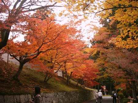 曼殊院の紅葉