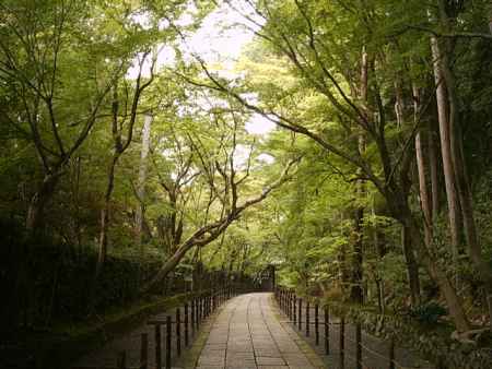 光明寺の石畳の参道