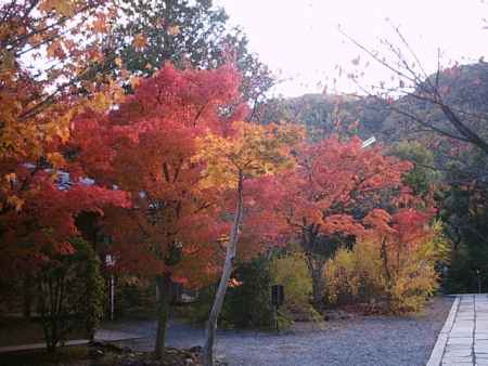 光明寺の紅葉