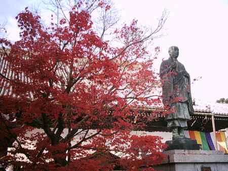 光明寺　法然上人立教開宗の像と紅葉