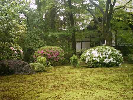 広隆寺　庭